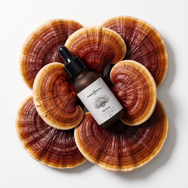 Calm | Reishi Liquid Extract