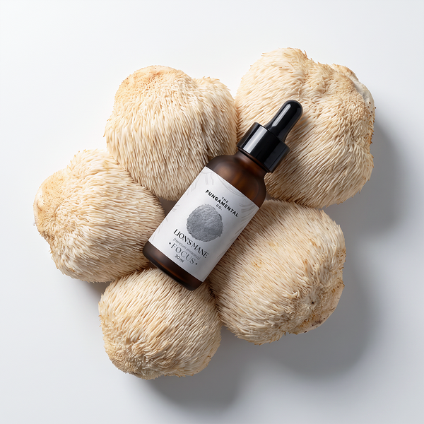 Focus | Lion's Mane Liquid Extract