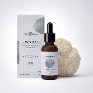 Focus | Lion's Mane Liquid Extract