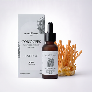 Energy | Cordyceps Militaris Liquid Extract
