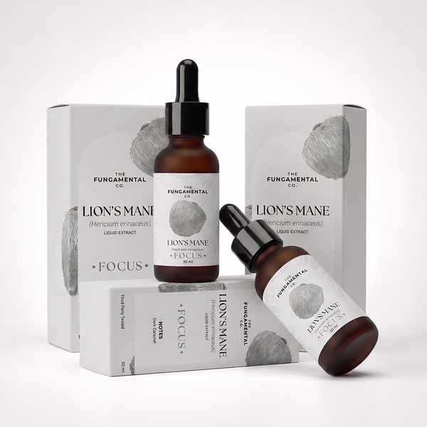 Focus | Lion's Mane Liquid Extract