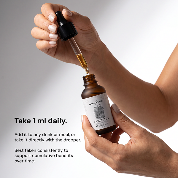 Energy | Cordyceps Militaris Liquid Extract
