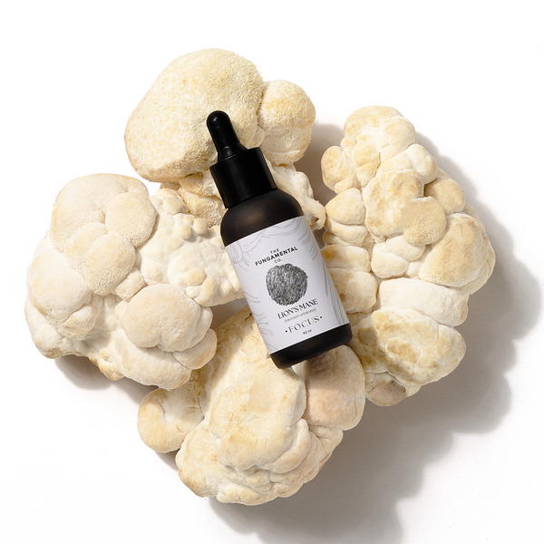 Lion's Mane & Cordyceps - Combo