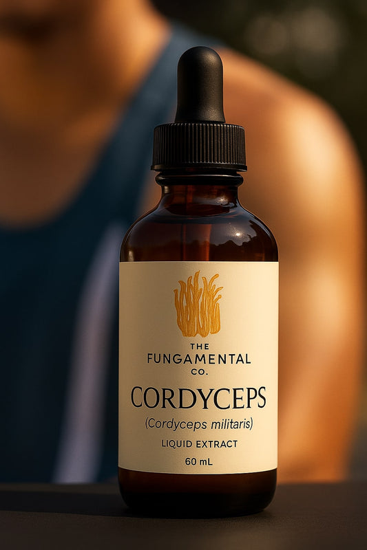 Cordyceps Militaris Liquid Extract