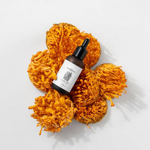 Energy | Cordyceps Militaris Liquid Extract