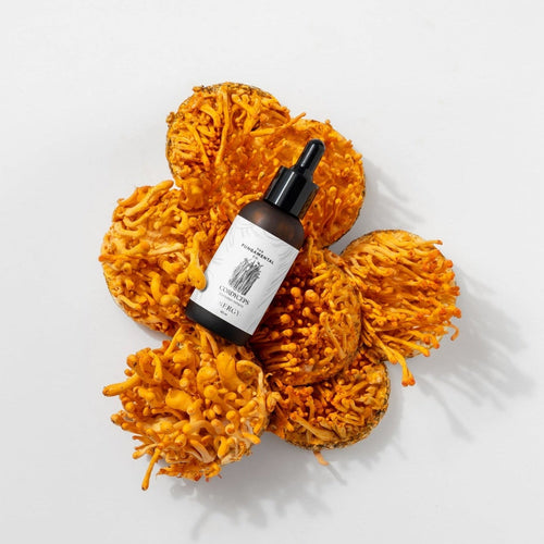 Energy | Cordyceps Militaris Liquid Extract