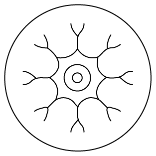 Supports Nerve Health & Recovery