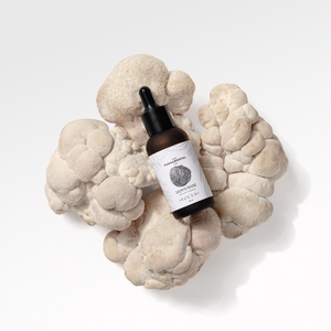Focus | Lion's Mane Liquid Extract