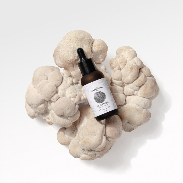 Focus | Lion's Mane Liquid Extract