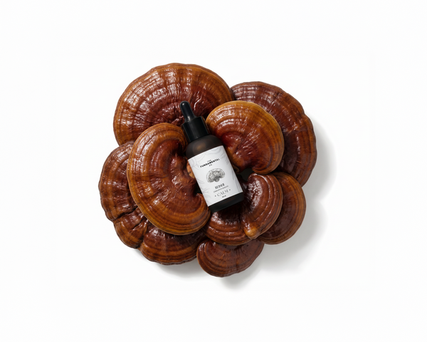 Calm | Reishi Liquid Extract