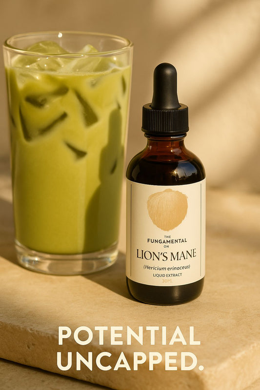 Lion's Mane Liquid Extract