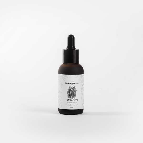 Energy Booster|  Cordyceps Militaris Liquid Extract