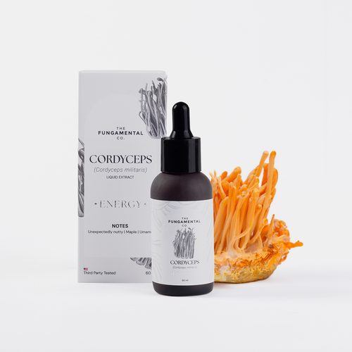 Energy Booster|  Cordyceps Militaris Liquid Extract