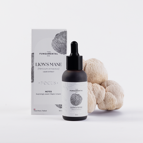 Focus | Lion's Mane Liquid Extract