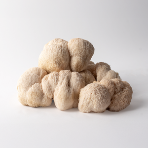 Lion's Mane Liquid Extract