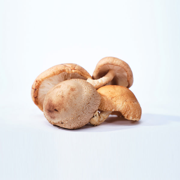 Reishi & Shiitake - Combo